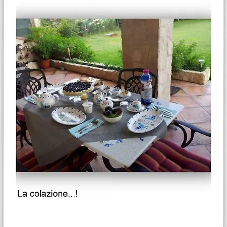 Is Pabis *